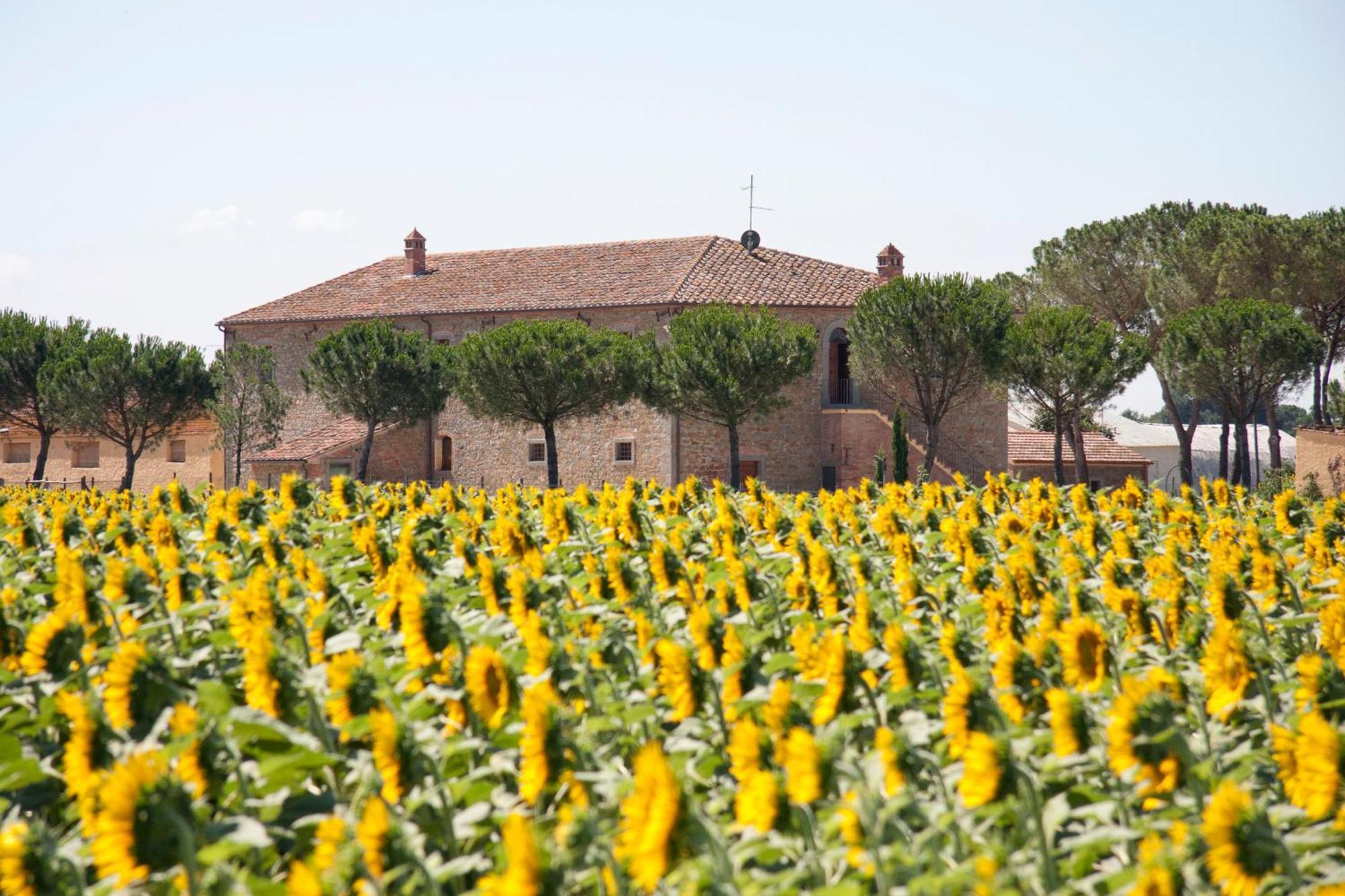 Villa Terra Di Cortona Exterior foto